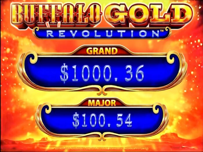 BUFFALO GOLD SERVER - Imagen 1