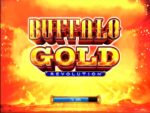 BUFFALO_GOLD - Imagen 2