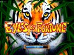 Eye of fortune - Imagen 2